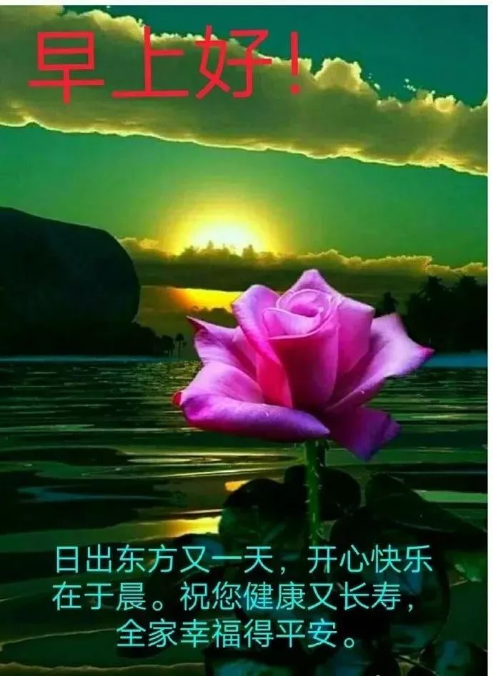 新版早上好微信祝福语录大全 一句问候，幸福安康图片