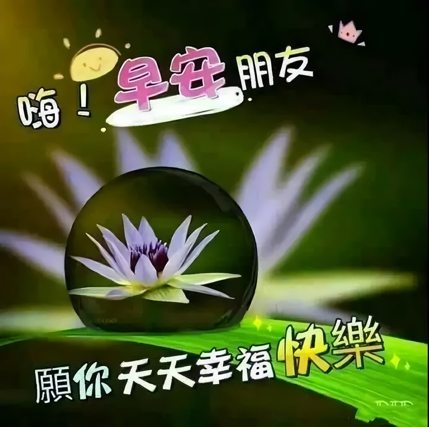 早上好问候语温馨语句 今日更新早上好动态表情包 亲爱的朋友早上好图片
