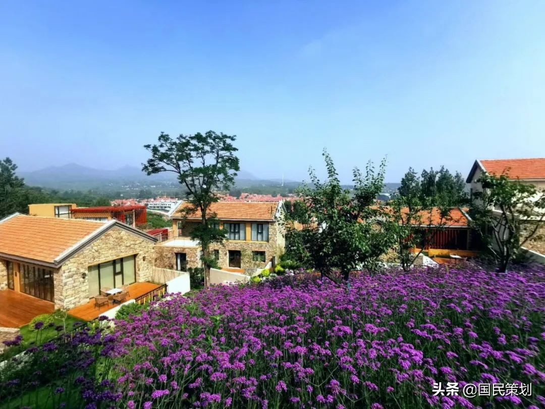 《乡村建设行动实施方案》发布！不能忽视，六大原则、五大视角？