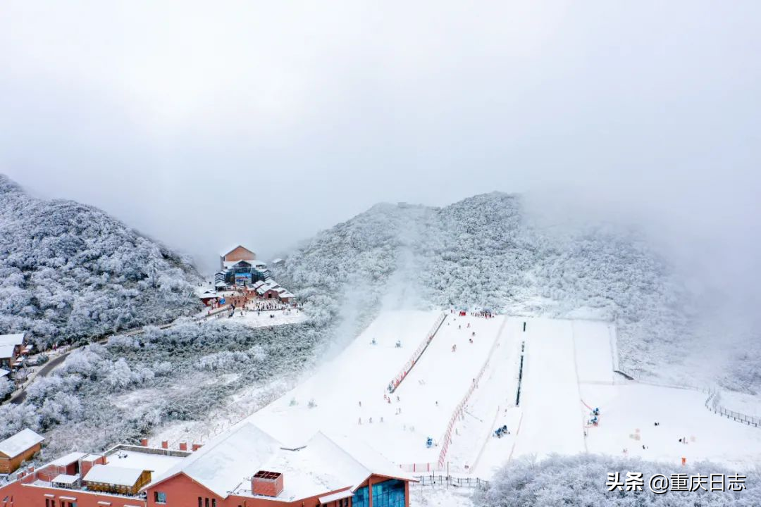 全民上冰雪，助力冬奥会！金佛山滑雪享特价，延续冰雪运动激情