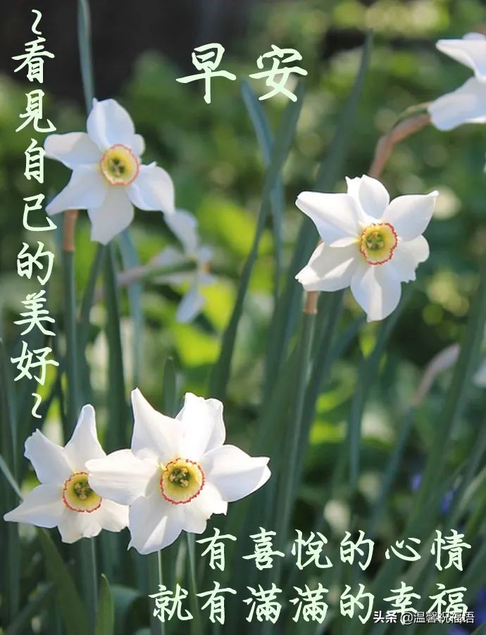 4月15日最新朋友圈早上好问候语 望您健康又快乐