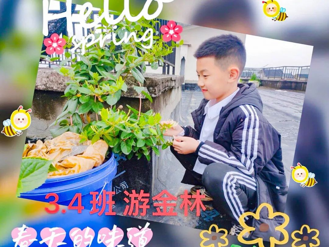 黄甲小学开展“人人参与科技节，我的科技节我做主”科技节活动