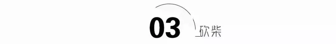 获赞3亿,火遍全网的《只此青绿》,领舞到底什么来头?