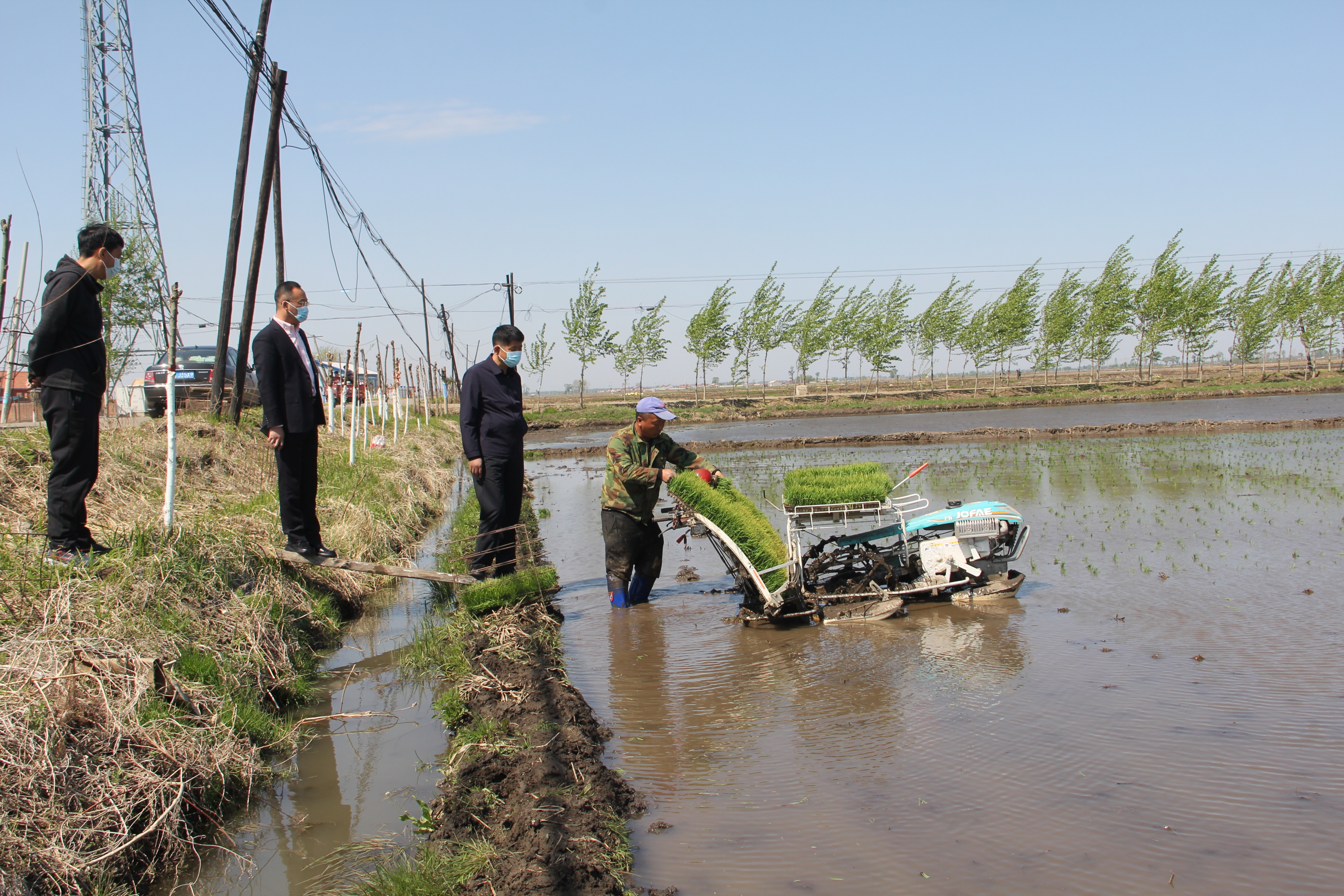 已完成800公顷，榆树大坡镇水稻插秧掀高潮