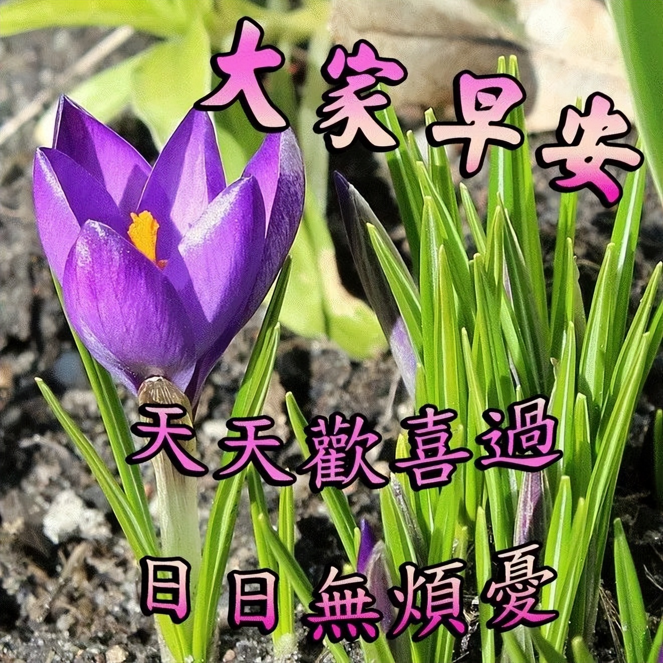 适合群发亲友的早上好表情包祝福图片带字 开心笑一笑，烦恼不见了图片