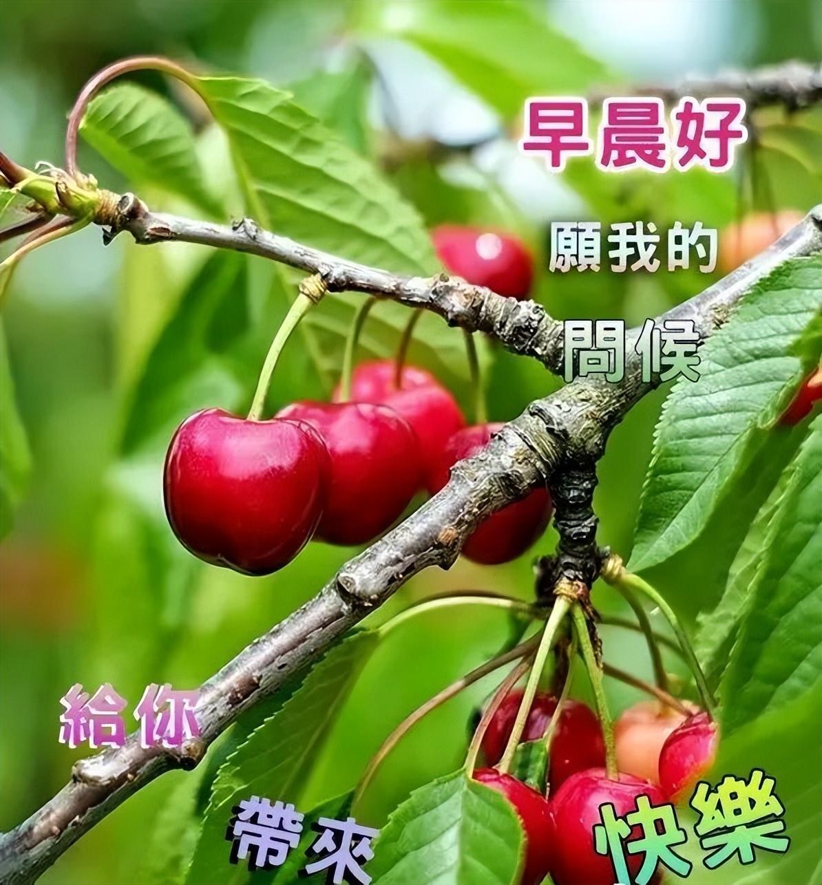 微信早安表情包大全 快乐永不老，健康才是宝，善待自己，保持微笑图片