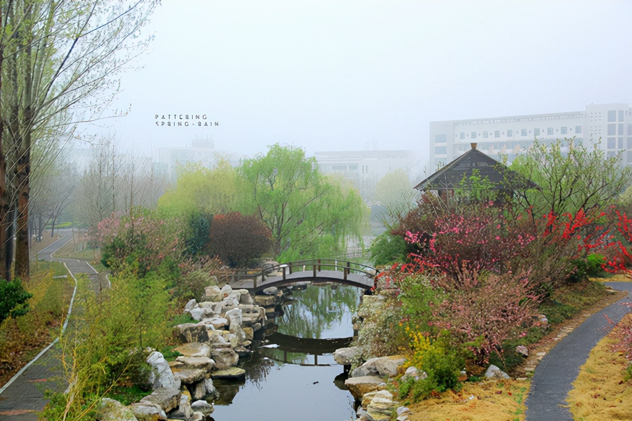 统考+校考！山东艺术学院发布2022年本科招生专业考试公告