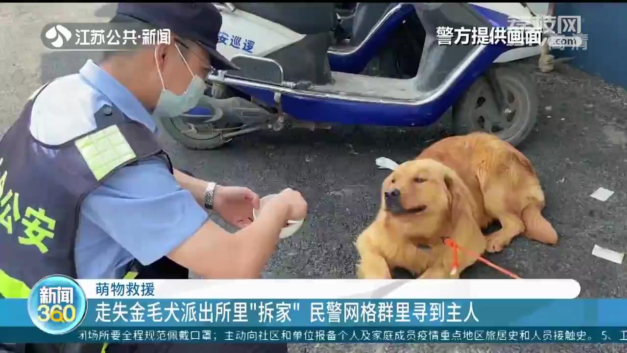 猫头鹰幼崽坠落军营 南京军警暖心齐救助