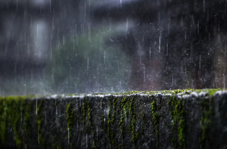 70句雨水节气发的优美文案，简短精致