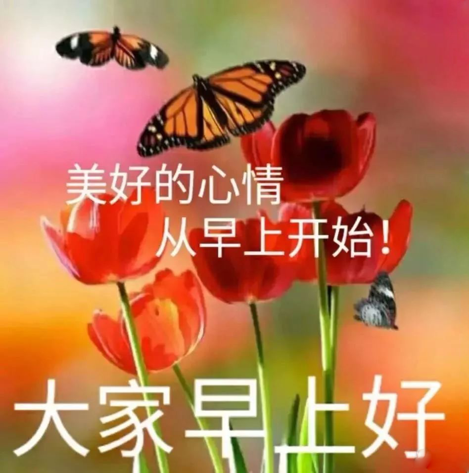 漂亮的早上好图片祝福语表情包带字 祝你幸福又平安图片