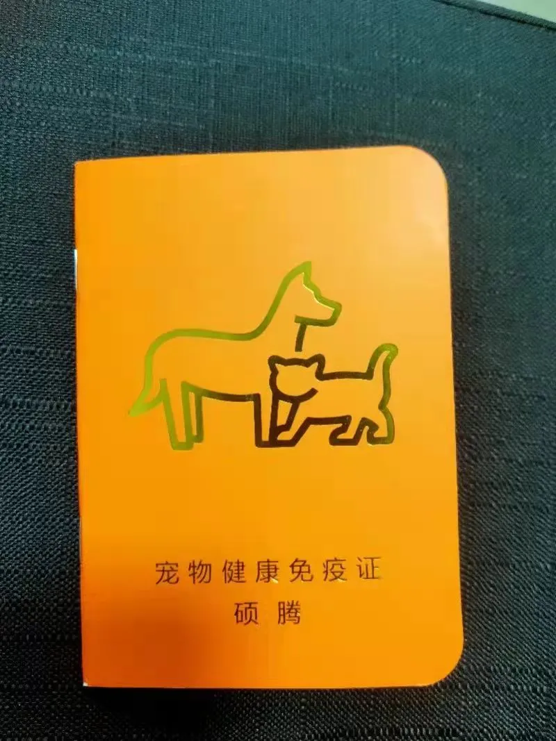 新年宠物托运保姆级指南，为了毛孩子一定要看