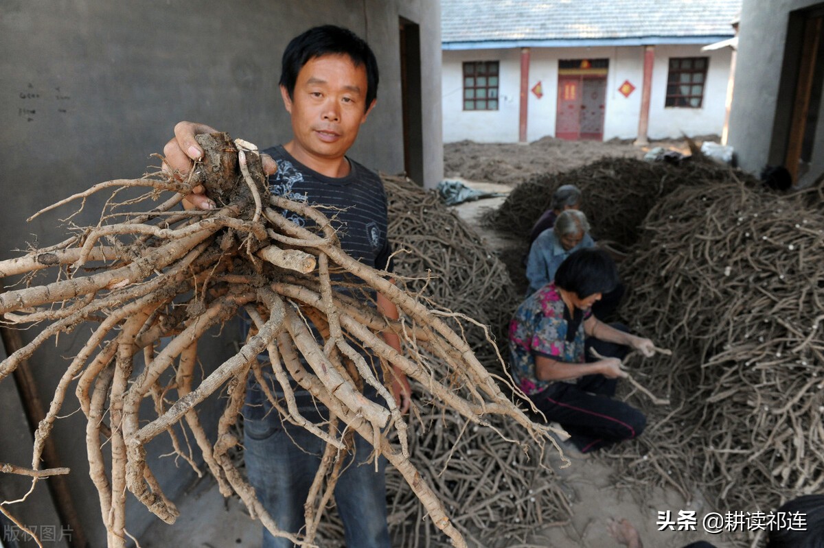 打工还是种地，十个简便易行的发财项目，为你开启财富之门