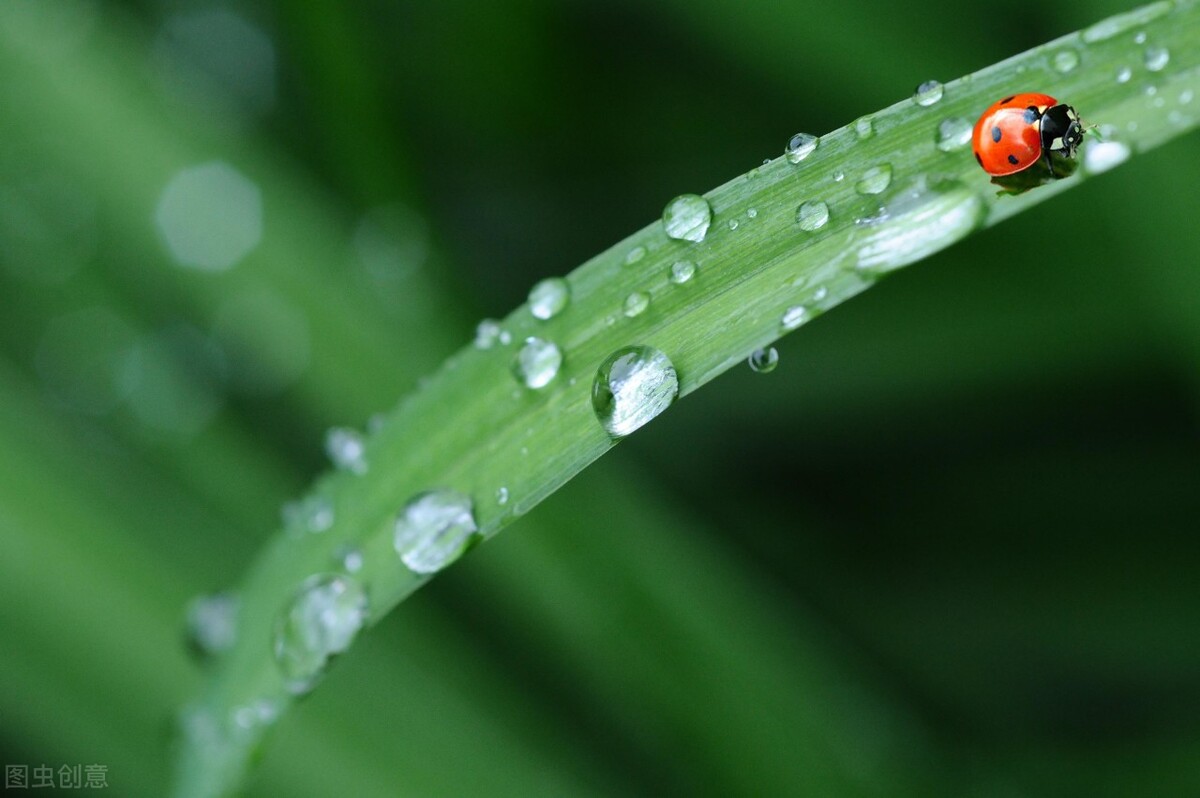 天气预报：今日三月初一，下雨天气，有啥说法？看看农谚咋说