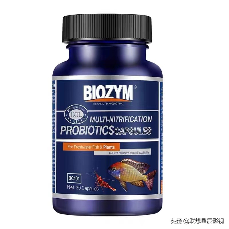 观赏鱼用硝化细菌(观赏鱼硝化细菌怎么用)