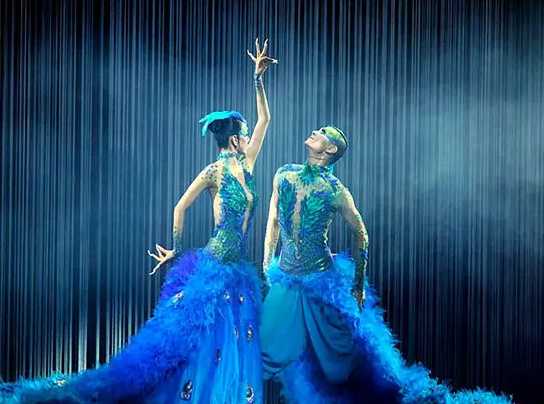 杨丽萍关门弟子郭冷：除了跳舞什么都不会做，年入百万却无人敢嫁