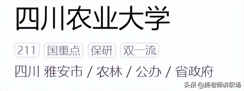 万字点评：全国31省市各排名前五共155所高校