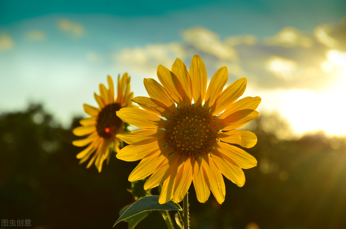 值得收藏下来的高级文案