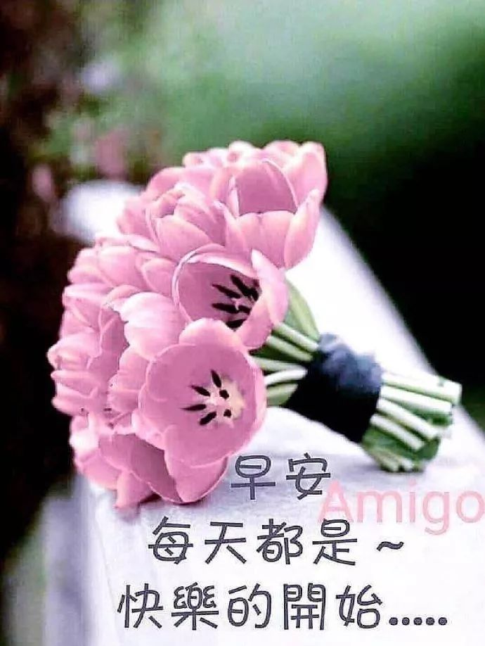夏天问候早上好问候祝福短信图片 每天都是快乐地开始图片