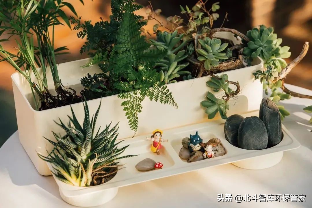 冲厕水酿啤酒？松针变收纳？这些环保创意让人耳目一新