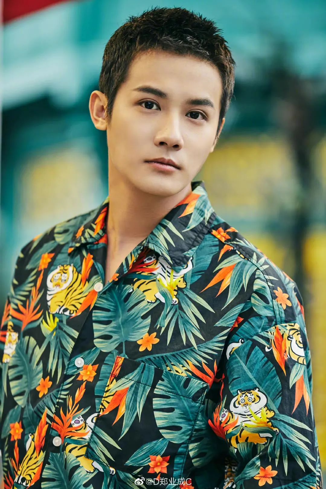 薛之谦，郑业成，王心凌，白鹿，杜海涛