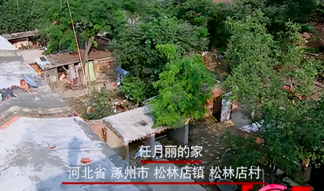 11年前凭春晚走红,发誓要做第二个董明珠的