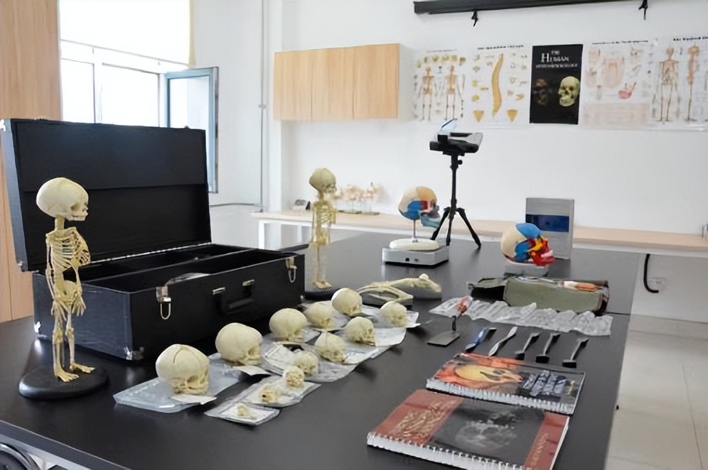 世界领先！央视聚焦！吉林大学“硬核学院”爆火出圈，拿下多个“第一”！