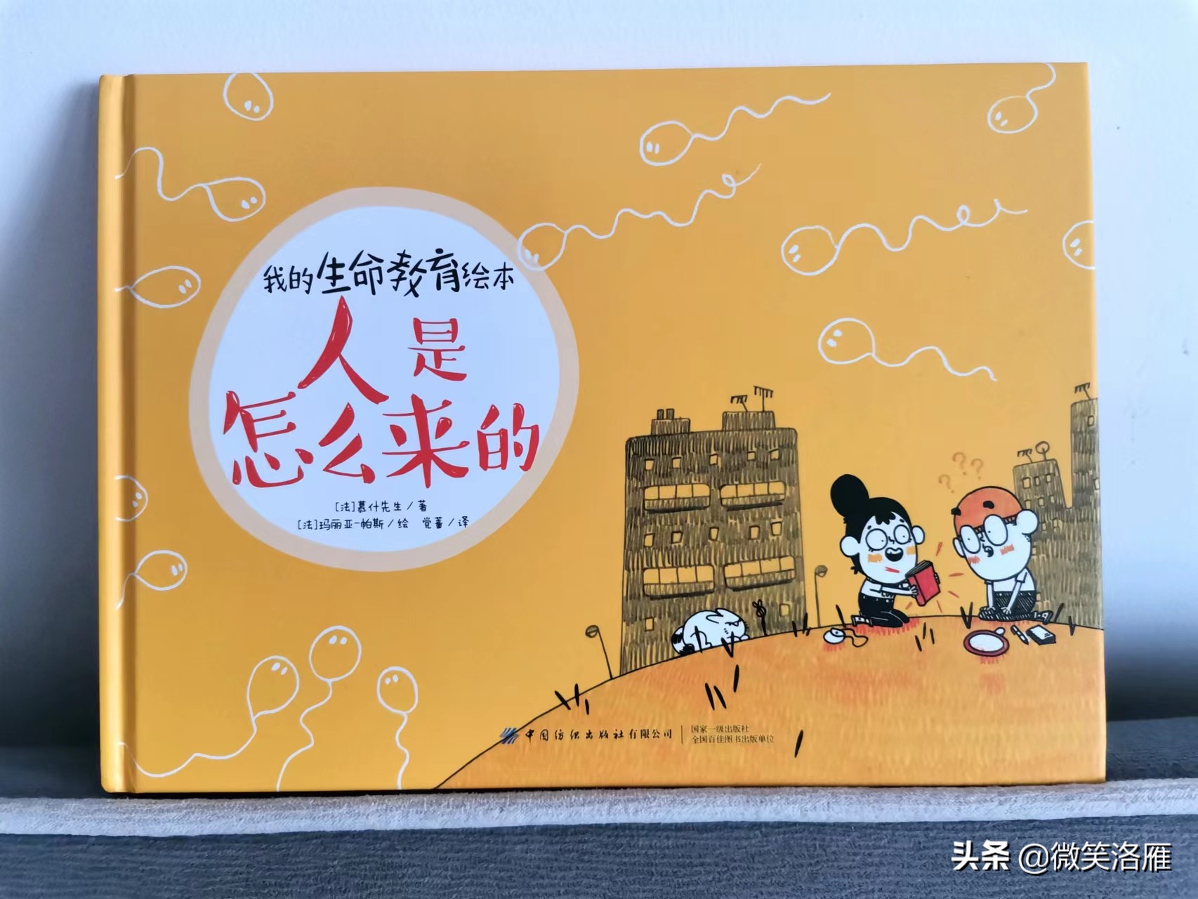 不可错过的绘本(不可错过的绘本图片)