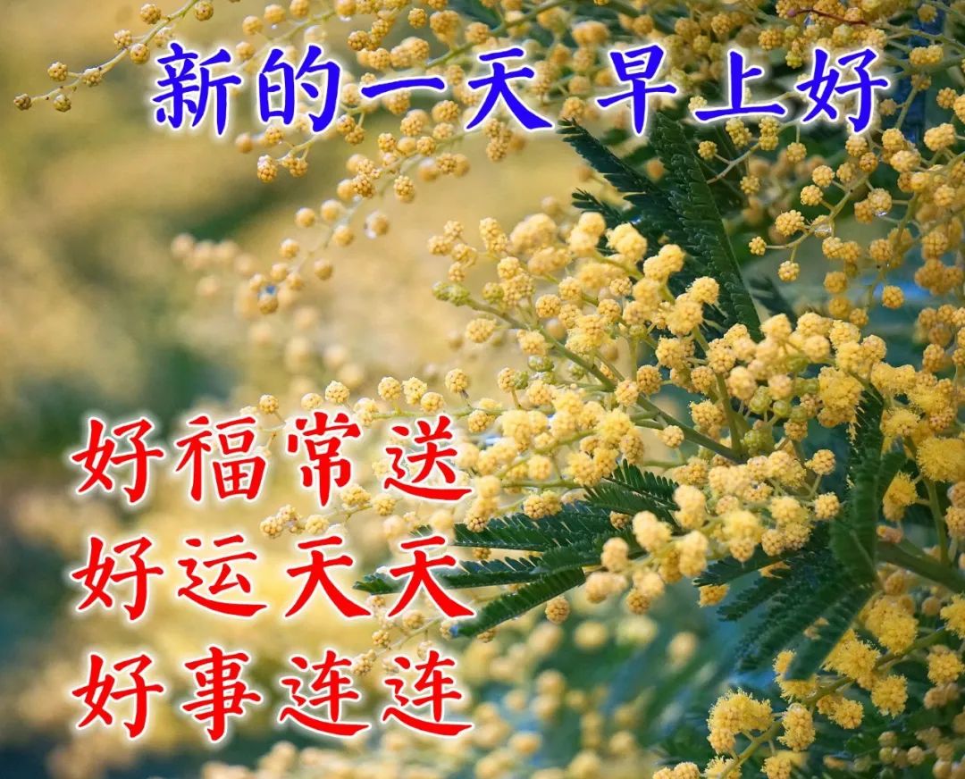 冬天暖暖的早晨好祝福语表情图片大全 愿你身心安康、喜乐平安图片