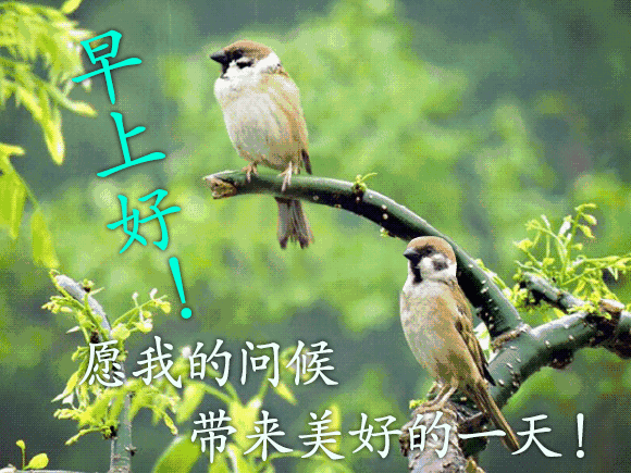 清晨早上好温暖早晨好问候关心祝福语句 早安带笑意、心情乐无比图片