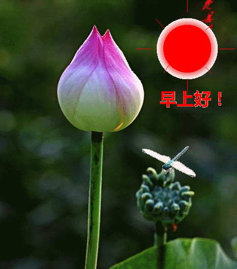 朋友圈秋天早上好问候语句子 多些生活的韵律，谱就美好的心曲图片