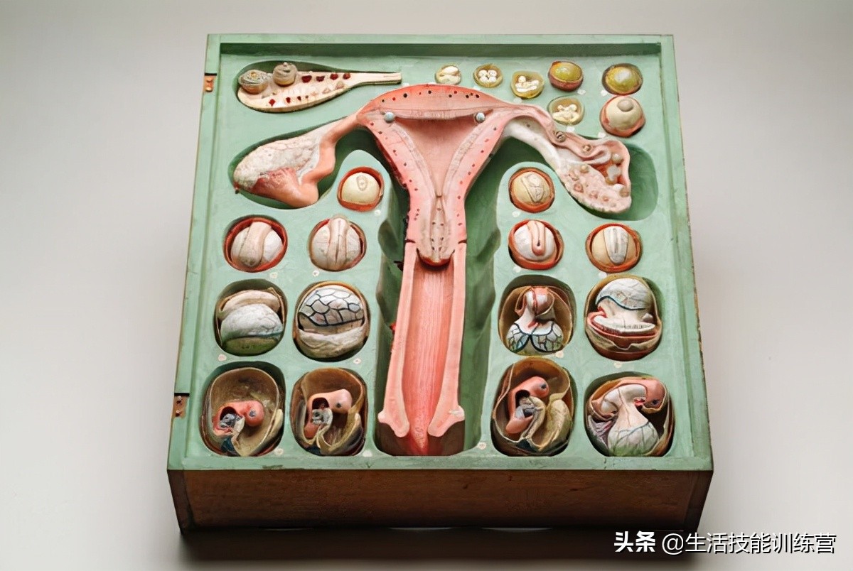 36张让人细思极恐的照片