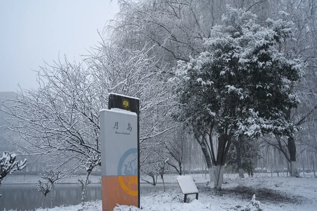 与你一起邂逅洛师初雪