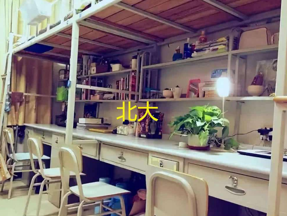 宿舍也分“三六九等”？北大和哈佛不在一个层次，网友：我去清华