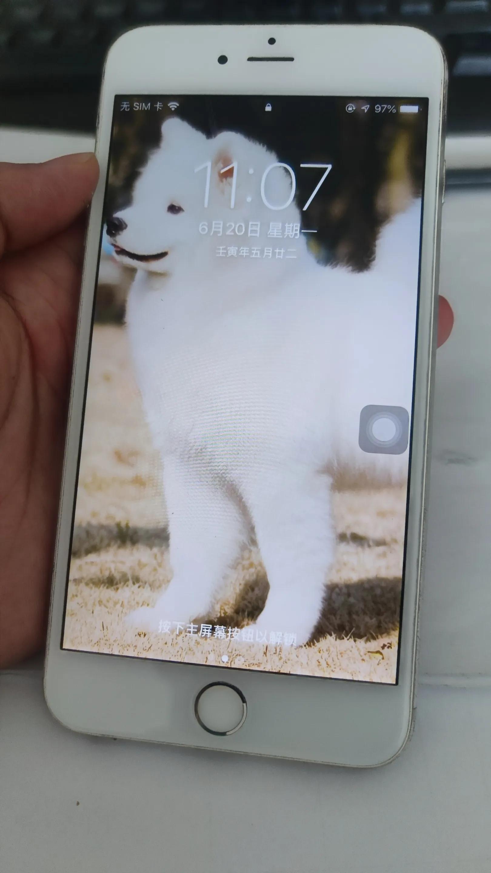 有多少人还在用苹果6P？