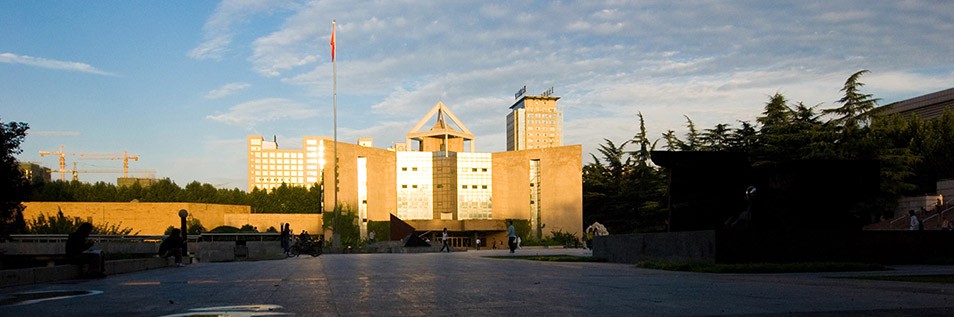 国际关注！西安交大取得系列研究进展，事关骨、牙、关节等硬组织缺失重建！