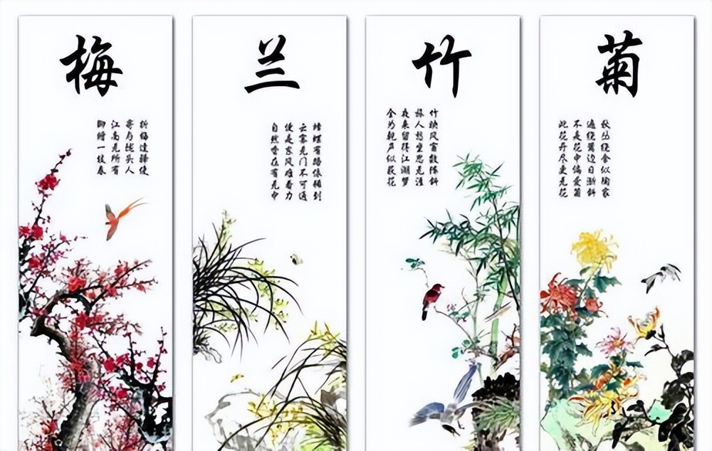 它是 國蘭之首 花香清新淡雅 花姿英氣十足 适合新手養護 天天看點