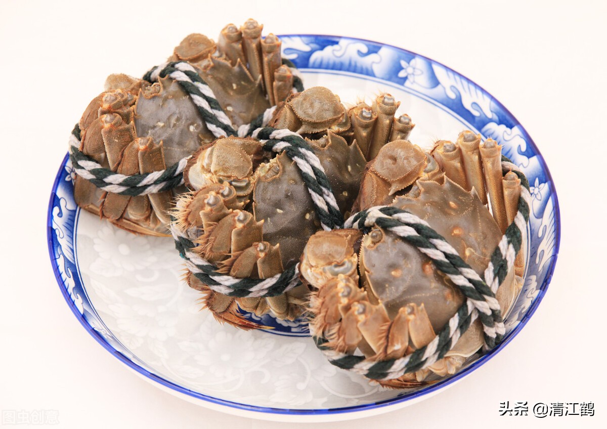 河里的螃蟹是吃什么食物长大的？过好"四关"是成功饲养螃蟹的关键