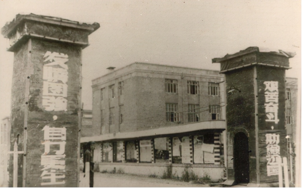 �Ӽ�5����20���й��ɷ������һ��һ����Ϊ�����������ģ�