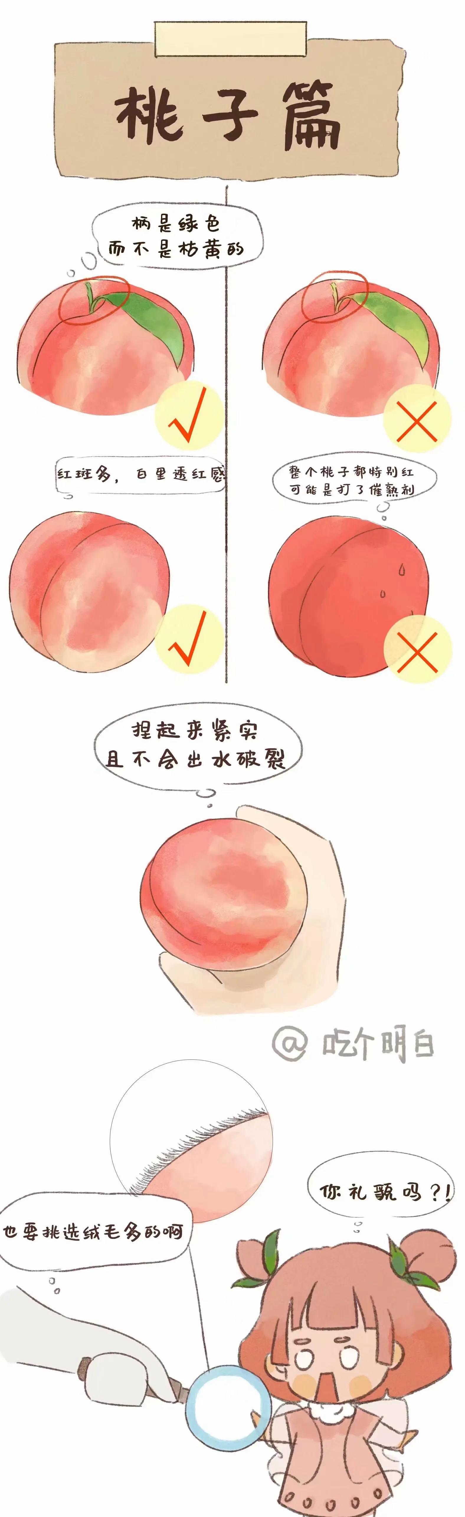 夏季挑水果攻略來嘍