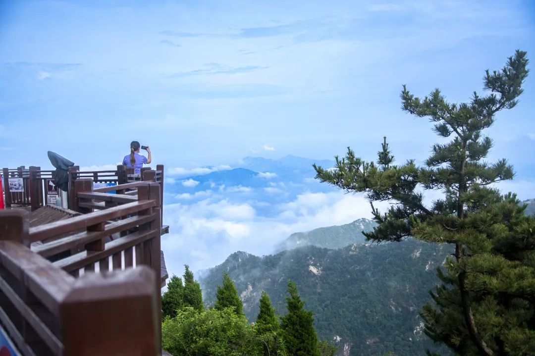 天蒙山【消暑避疫】已安排!临沂车程1h可直达!