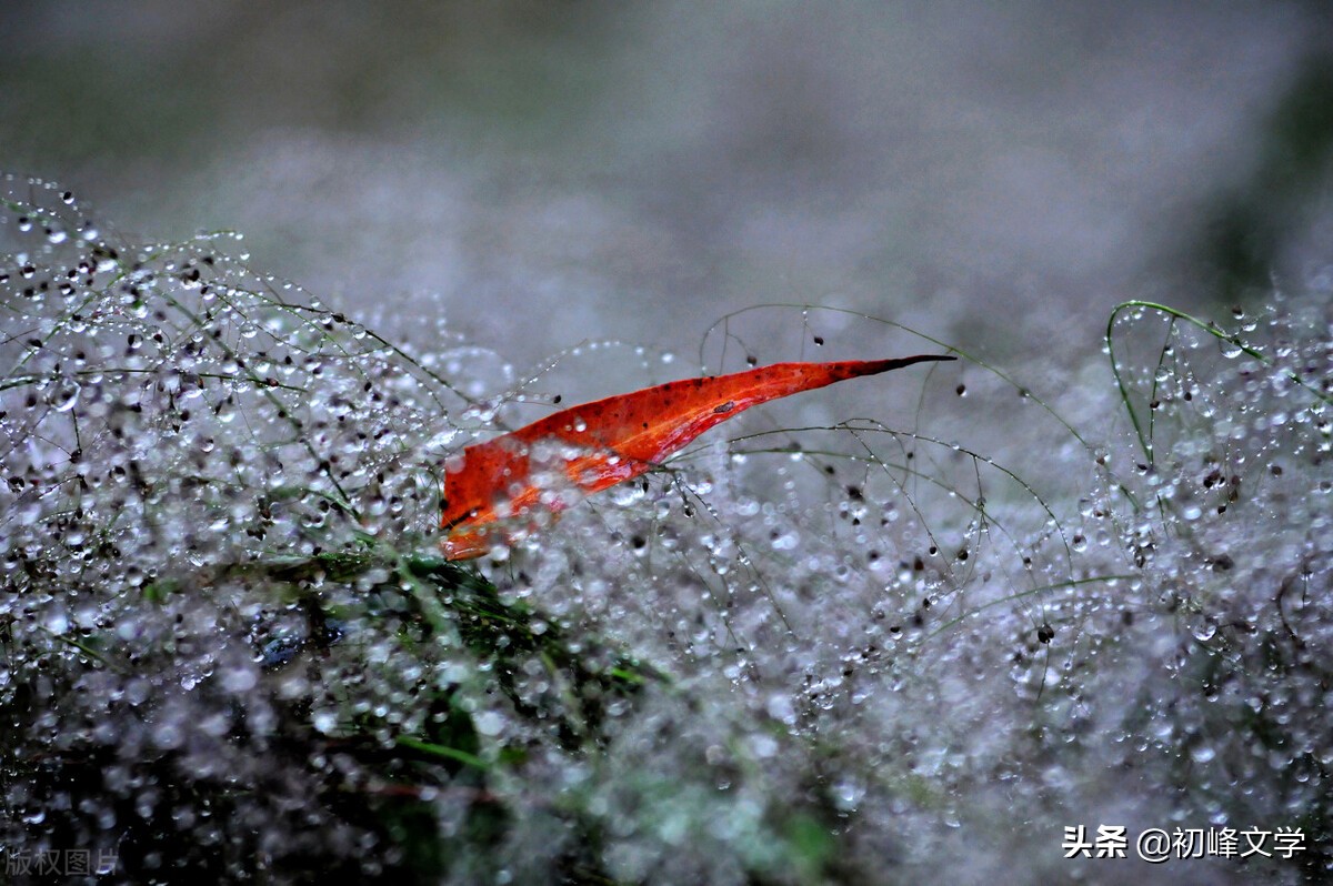 散文：退一步海阔天空，忍一忍不后悔