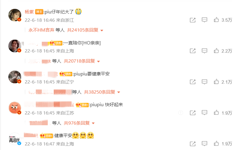 杨紫发文记录小狗出院，粉丝留言安慰，有些人却忍不住酸了