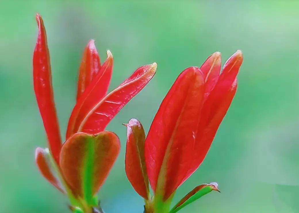 相隔千山万水，也要奔你而去；想你，长长的思情，贯穿内心世界
