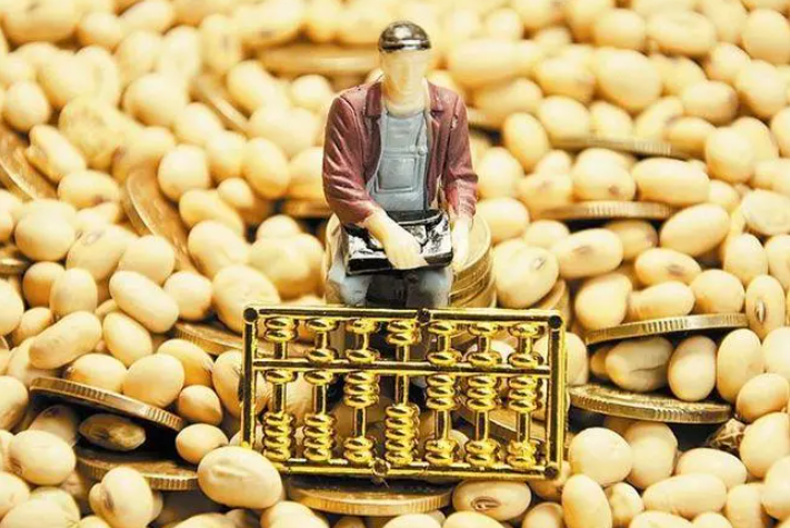 贸易商涨价“抢”玉米，豆粕期货价格跌破4000元，饲料行情如何？