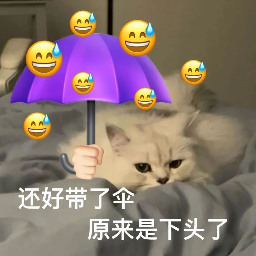 今儿的风太大听不见的表情图片