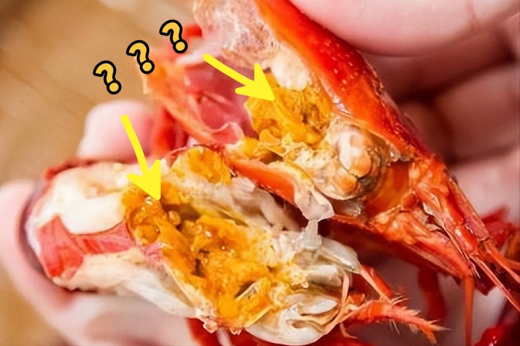 【吃小龙虾，虾头中的黄色，是“虾黄”还是“虾屎”？总算弄明白了】图2