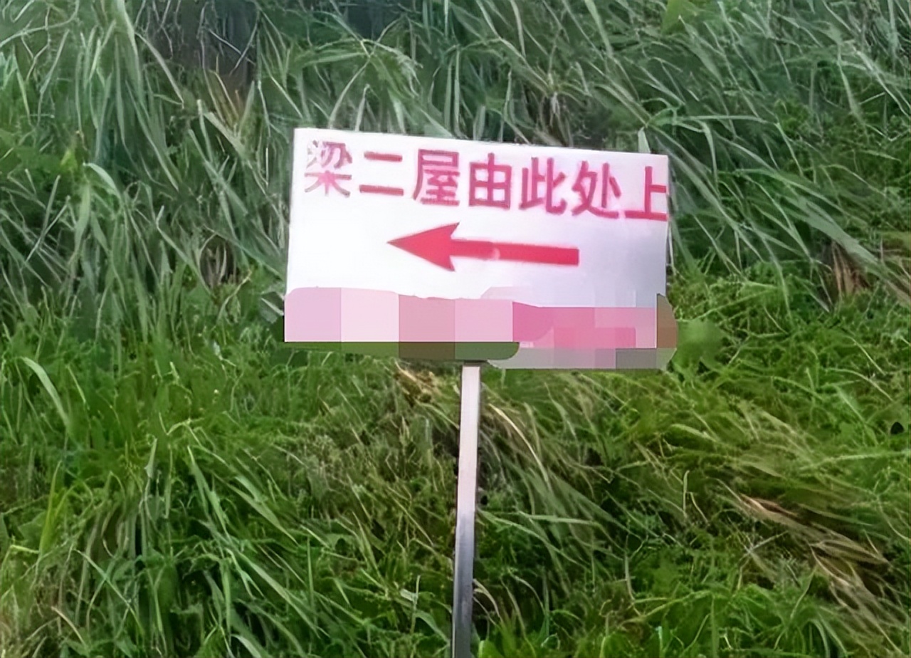 “超生游击队”真实事件：21年连生15个孩，妻子生产细节让人心疼