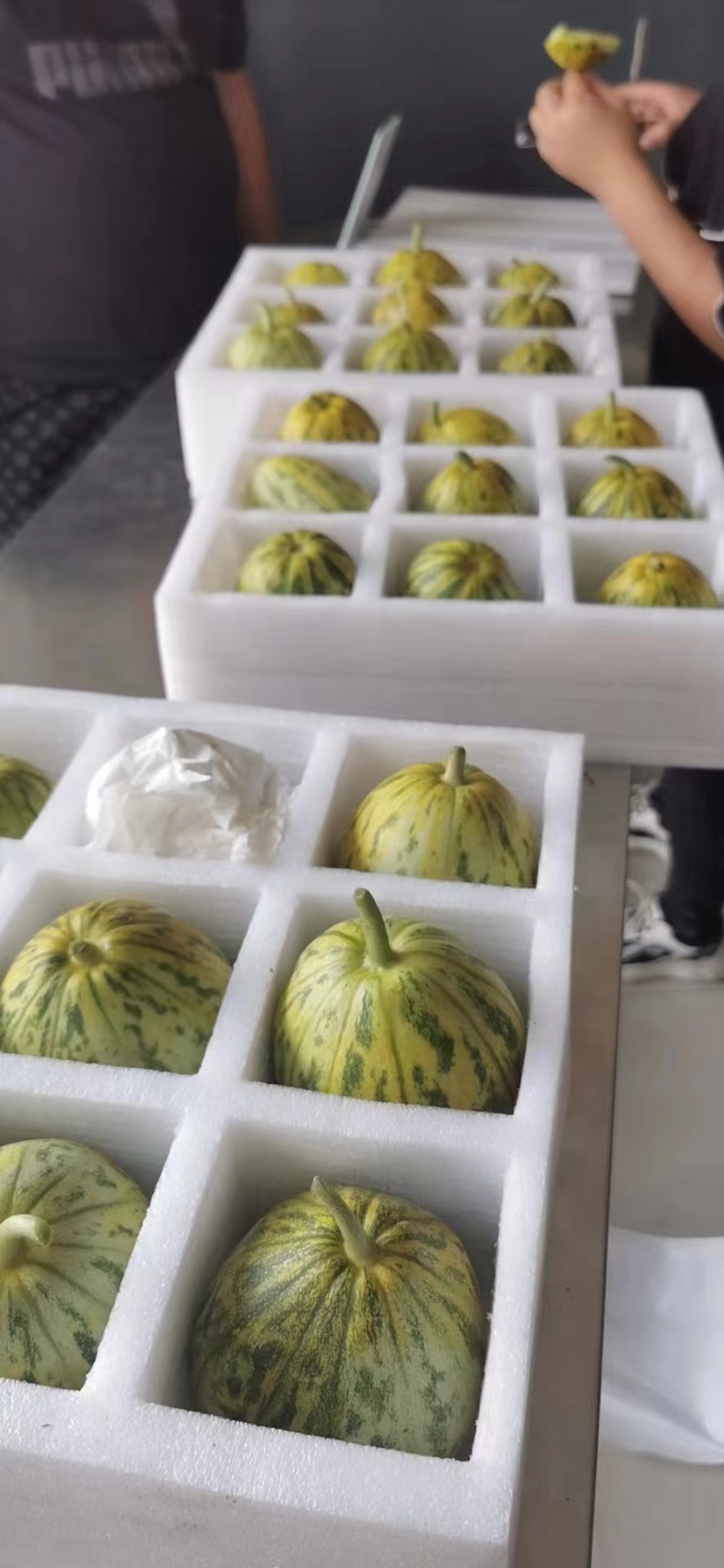 “提速”、“锁鲜”顺丰高效物流供应链 助力时令水果“网”上行