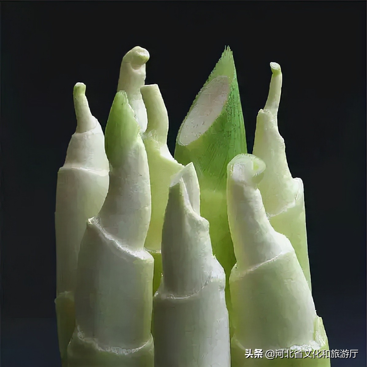 德国摄影师拍摄的80年代中国美食