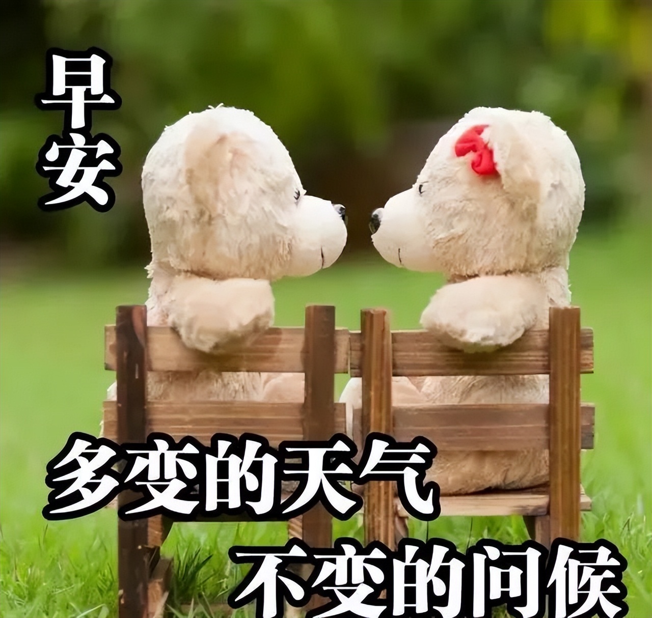 精选好看的早上好动态美图关心话语，一个问候带给你一个新的心情图片